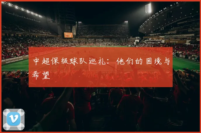 中超保级球队巡礼:他们的困境与希望